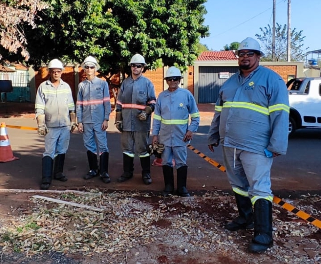 Empresa DSX Energia realiza poda de árvores no município de Itaporã