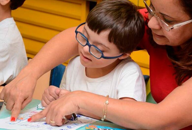 CE avalia obrigatoriedade de profissional de apoio escolar na educação especial