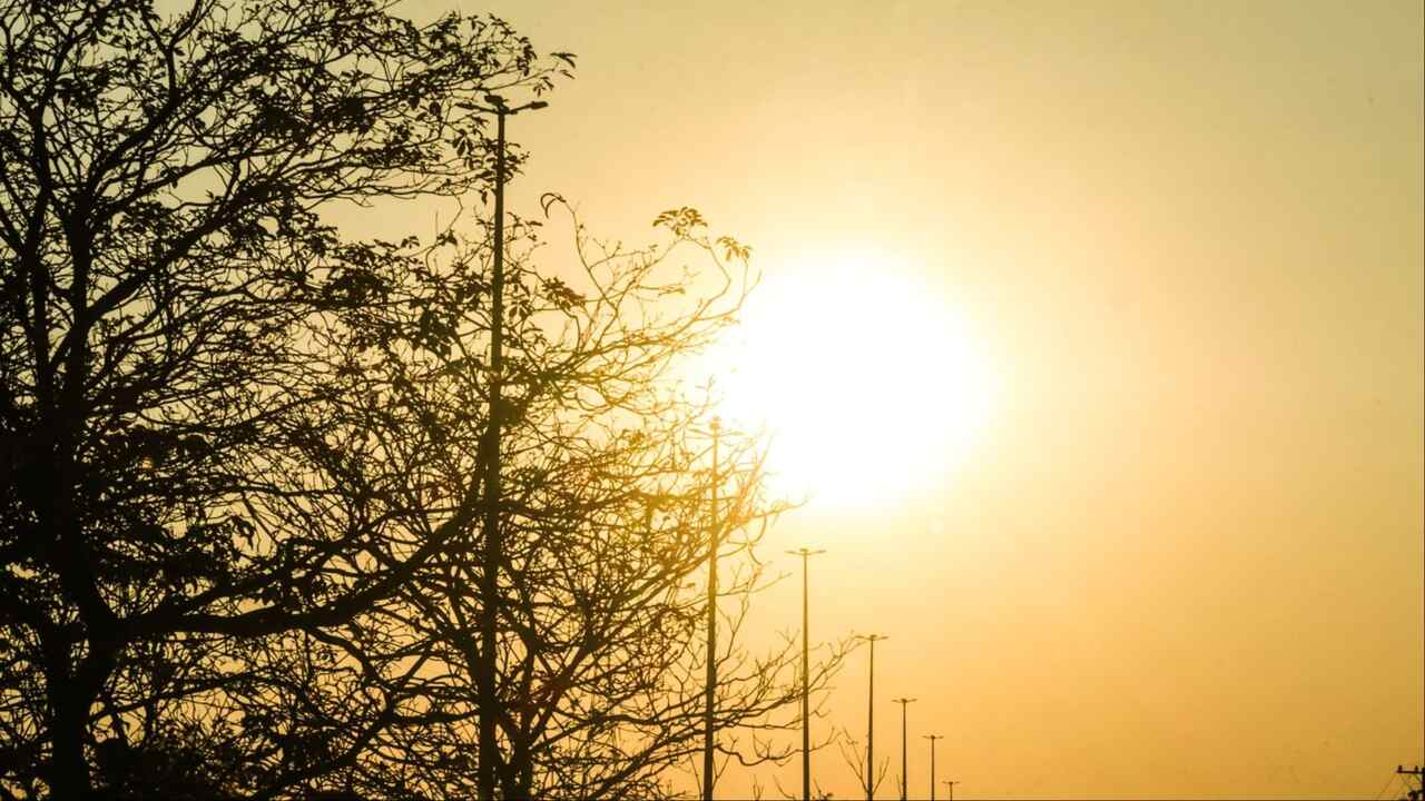 Mato Grosso do Sul volta a ficar sob alerta de perigo para umidade do ar em 12%