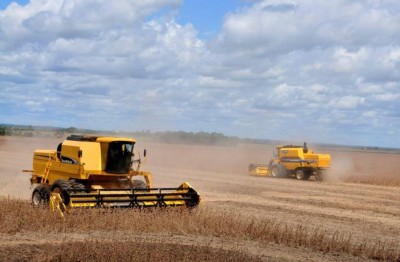 Valor Bruto da Produção agropecuária em Mato Grosso do Sul soma quase R$ 60 bilhões no ano