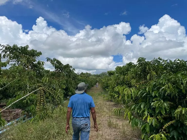 Pesquisa de R$ 500 mil busca modelo sustentável para indígenas das Aldeias Jaguapiru e Bororó