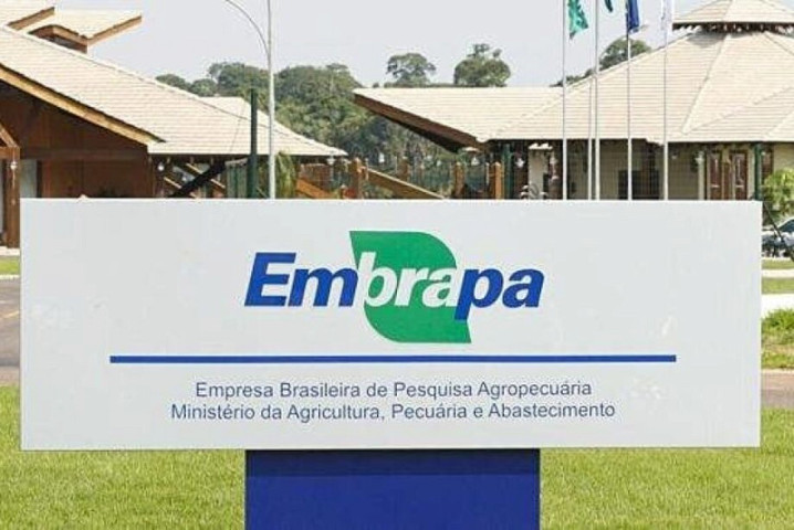 Inscrições para concurso da Embrapa abrem nesta segunda; salário é de até R$ 12,8 mil