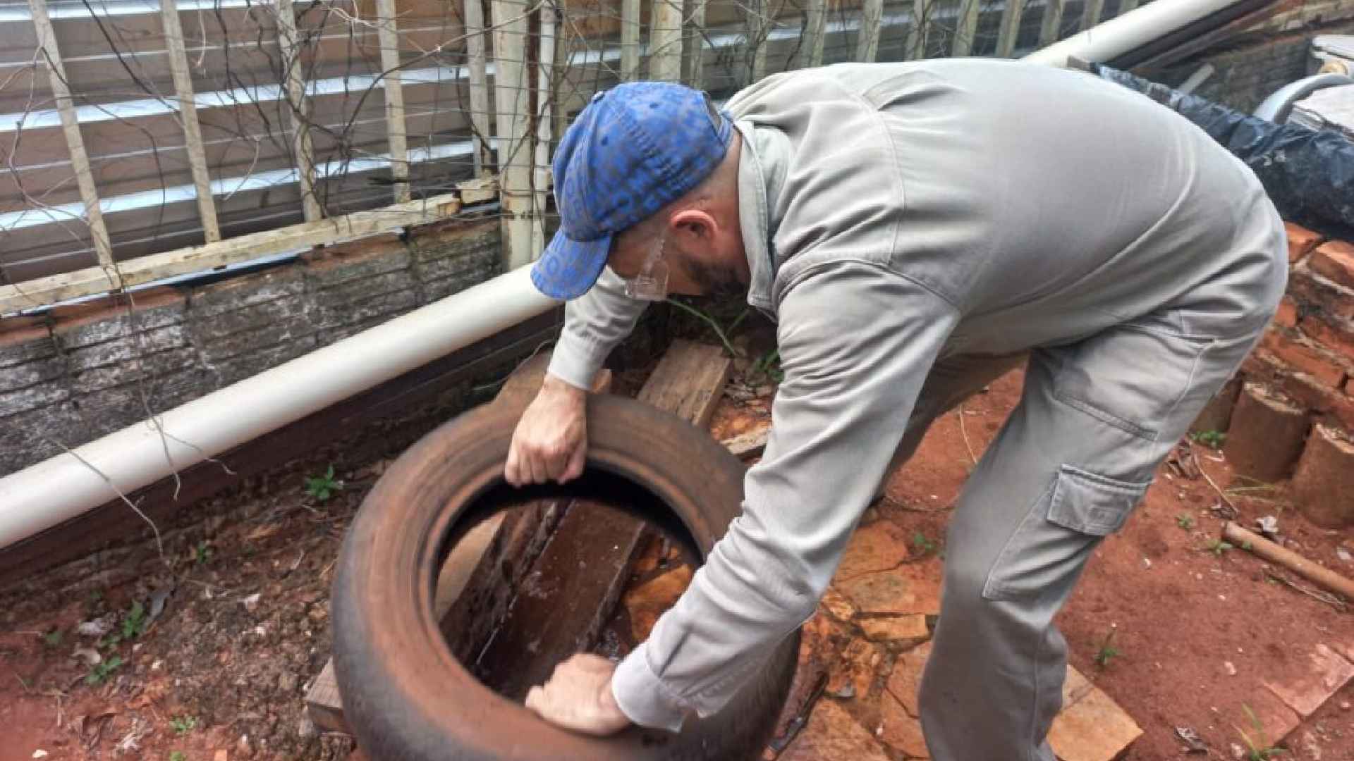 Mato Grosso do Sul investiga dois óbitos por suspeita de chikungunya