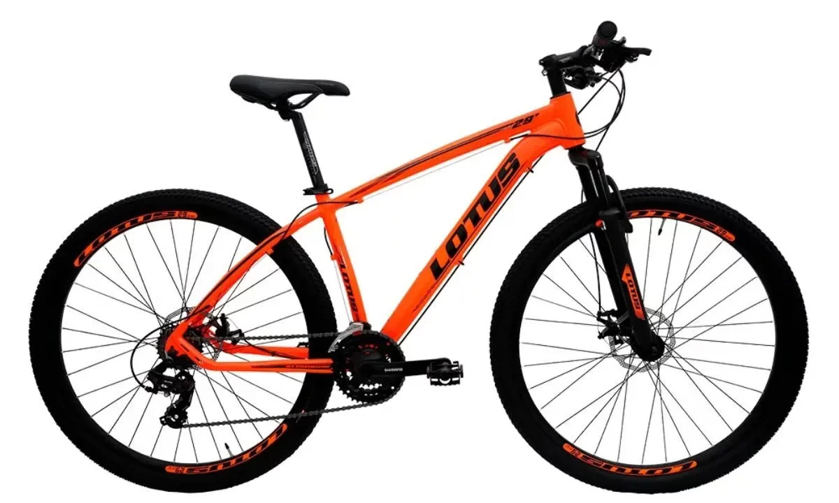 Bicicleta é furtada no centro de Itaporã e ação é registrada por câmeras de segurança