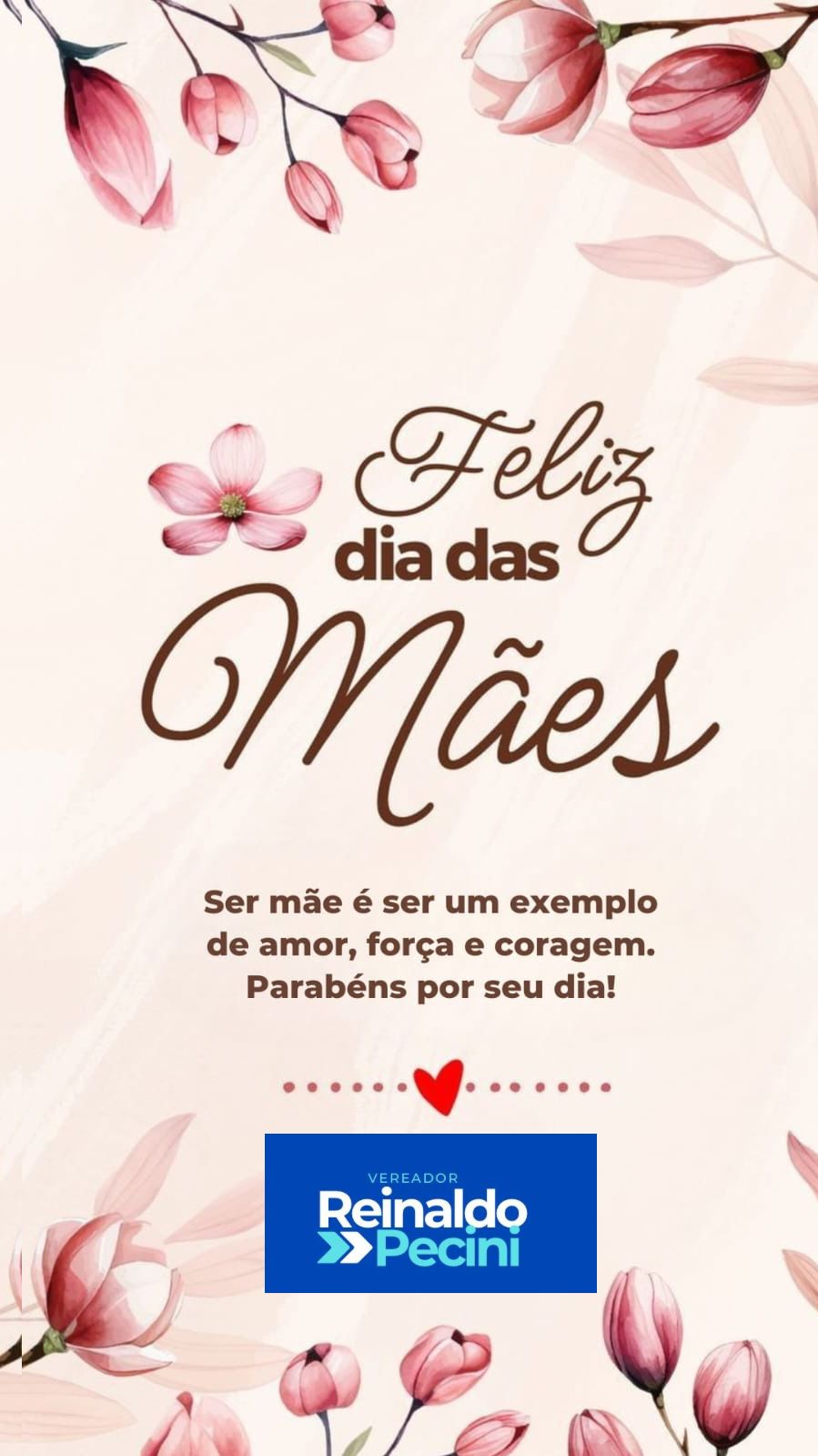 Vereador Reinaldo Pecini dedica mensagem especial neste Dia das Mães