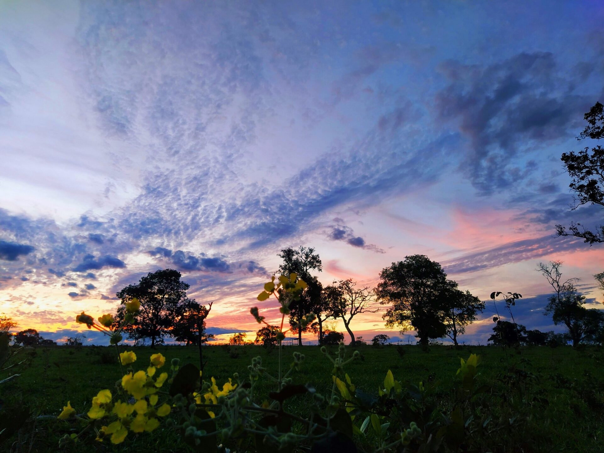 Alta pressão garante tempo firme e calor moderado em Mato Grosso do Sul