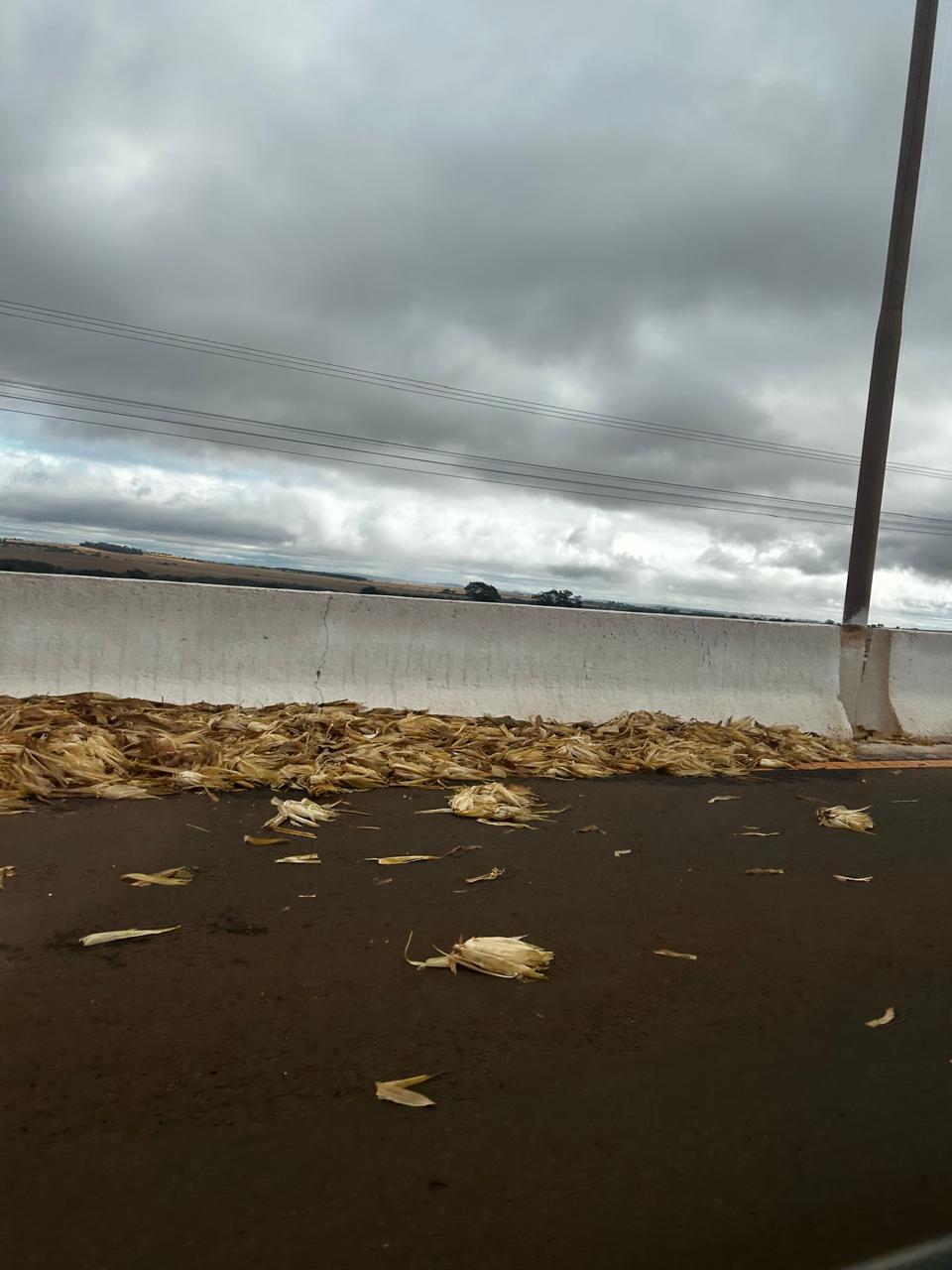 Alerta: Rodovia MS-156 que liga Itaporã a Dourados está repleta de palha de milho