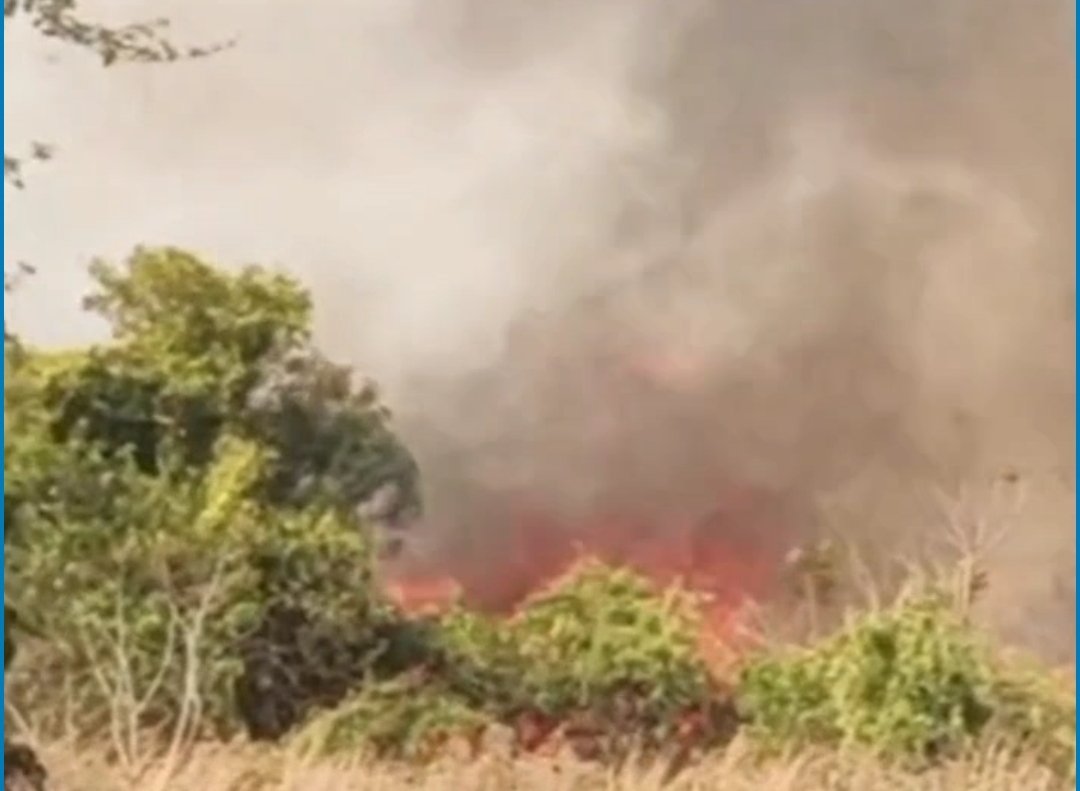 Itaporã: Incêndio é registrado próximo ao corguinho na Coemat