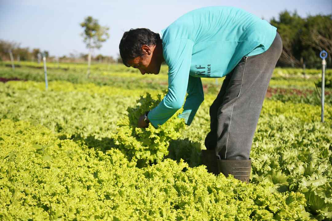 Governo de MS abre credenciamento de agricultores familiares para o PAA 2025