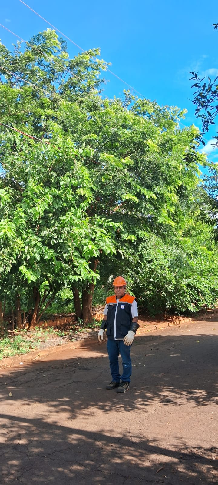 Coordenador de Defesa Civil orienta sobre riscos com árvore no bairro Porciúncula