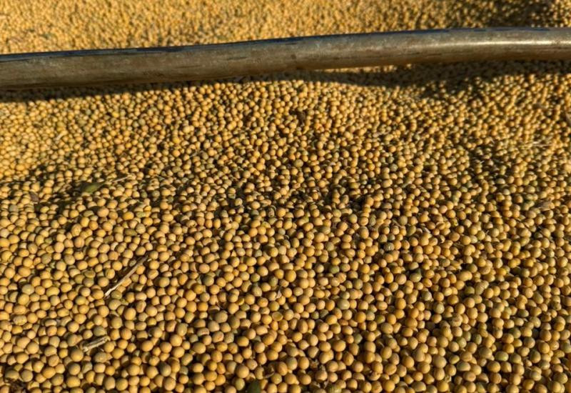 MS inicia 2026 com saldo positivo de US$ 462 milhões na balança comercial