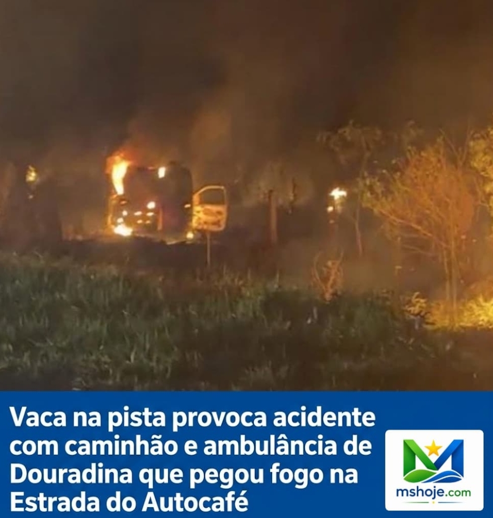 Vaca na pista provoca acidente com caminhão e ambulância de Douradina que pegou fogo na Estrada do Alto café