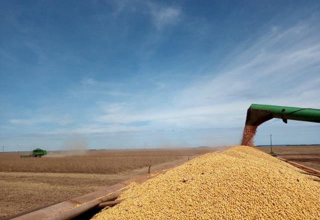 Preço da soja sobe 4% e saca chega a R$ 147,50 no interior