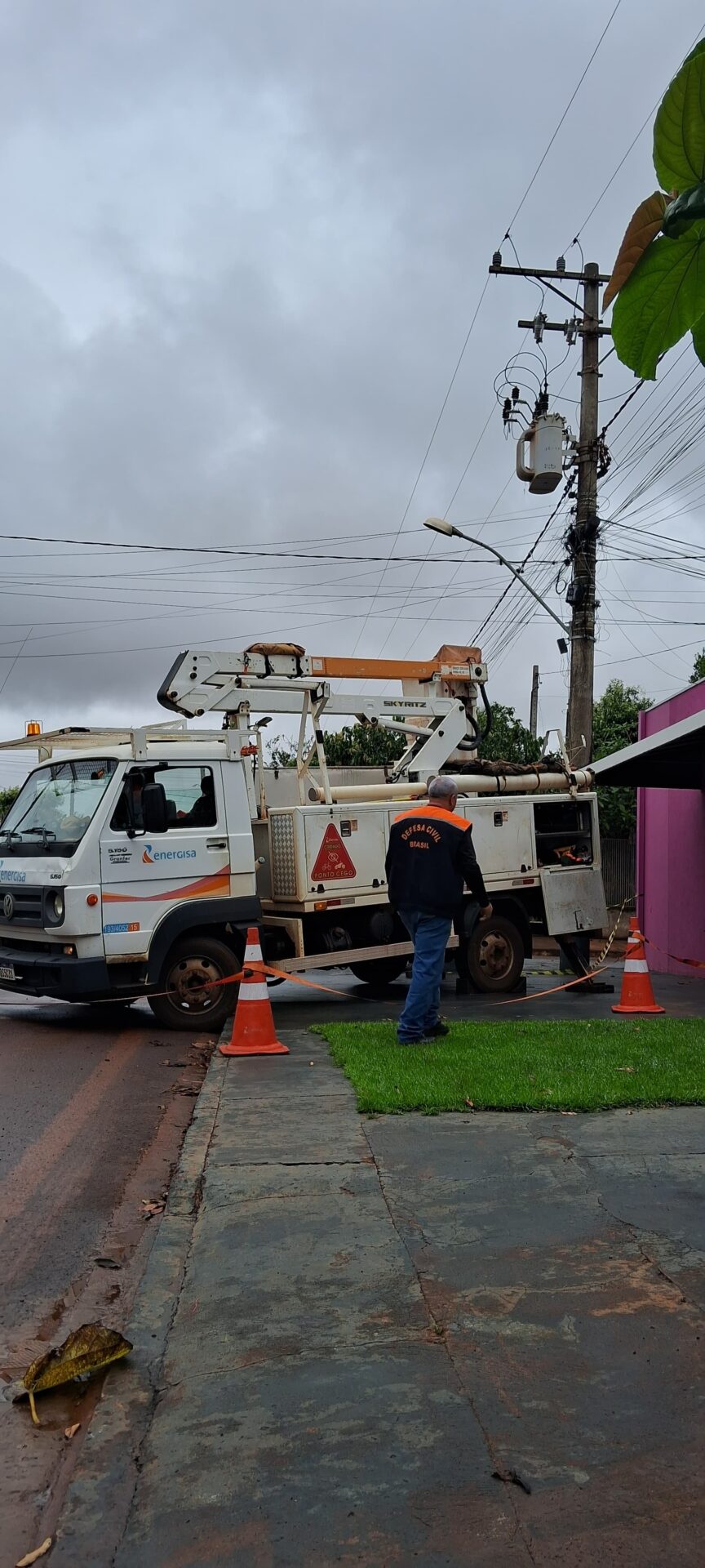 Itaporã: Defesa Civil e Energisa mobilizam ação de emergência após abelhas atacarem crianças